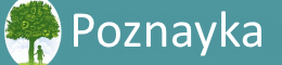 Познайка